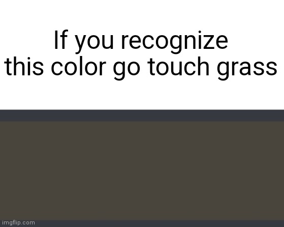E | If you recognize this color go touch grass | image tagged in blank white template,grass | made w/ Imgflip meme maker