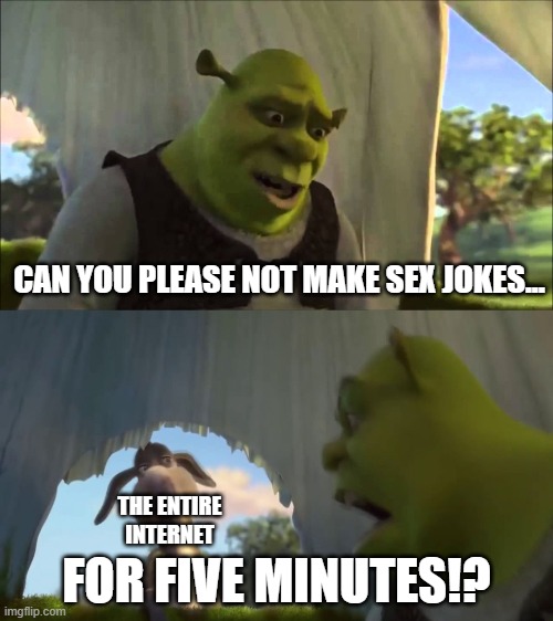 The Internet has Turned Perverted | CAN YOU PLEASE NOT MAKE SEX JOKES... FOR FIVE MINUTES!? THE ENTIRE INTERNET | image tagged in could you stop for five minutes | made w/ Imgflip meme maker