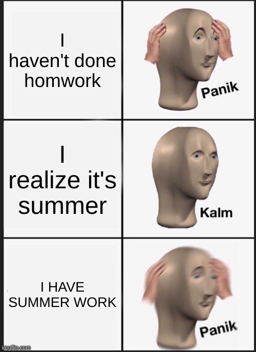 Whyyyyyyyyyyy | I haven't done homwork; I realize it's summer; I HAVE SUMMER WORK | image tagged in memes,panik kalm panik | made w/ Imgflip meme maker