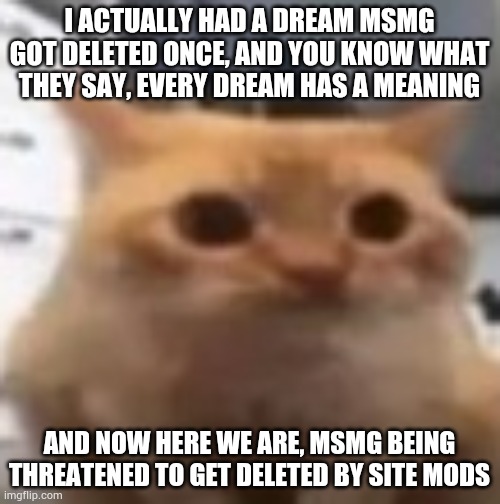 spoingus | I ACTUALLY HAD A DREAM MSMG GOT DELETED ONCE, AND YOU KNOW WHAT THEY SAY, EVERY DREAM HAS A MEANING; AND NOW HERE WE ARE, MSMG BEING THREATENED TO GET DELETED BY SITE MODS | image tagged in spoingus | made w/ Imgflip meme maker