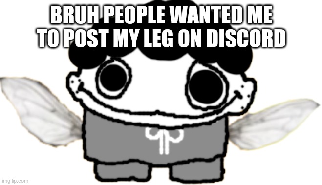 Flylos Or Something | BRUH PEOPLE WANTED ME TO POST MY LEG ON DISCORD | image tagged in flylos or something | made w/ Imgflip meme maker
