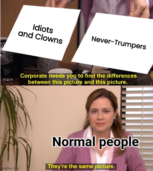 They're The Same Picture Meme | Idiots and Clowns Never-Trumpers Normal people | image tagged in memes,they're the same picture | made w/ Imgflip meme maker