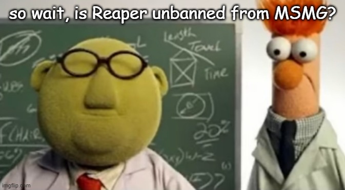 let's unban him- | so wait, is Reaper unbanned from MSMG? | image tagged in breaking street | made w/ Imgflip meme maker