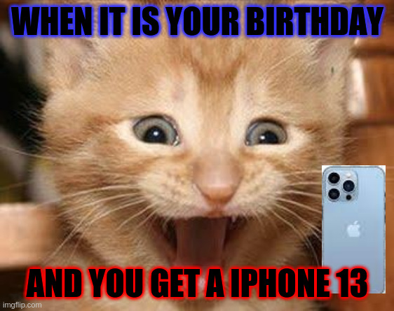 Iphone 13 for your birthday | WHEN IT IS YOUR BIRTHDAY; AND YOU GET A IPHONE 13 | image tagged in memes,excited cat | made w/ Imgflip meme maker