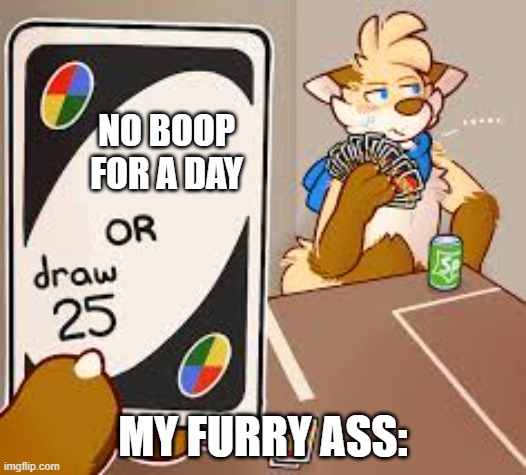 furry :) | NO BOOP FOR A DAY; MY FURRY ASS: | image tagged in furry or draw 25 | made w/ Imgflip meme maker