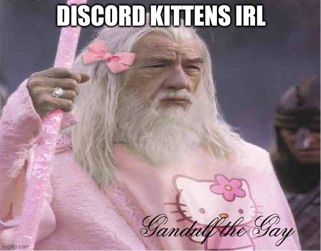 god!! | DISCORD KITTENS IRL | image tagged in gandalf the fabulous | made w/ Imgflip meme maker