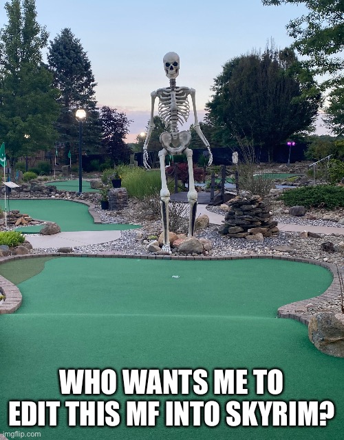 WHO WANTS ME TO EDIT THIS MF INTO SKYRIM? | made w/ Imgflip meme maker