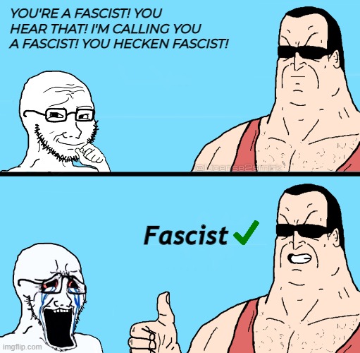 What are you gonna do, leftist? Call me a Fascist even harder? | YOU'RE A FASCIST! YOU HEAR THAT! I'M CALLING YOU A FASCIST! YOU HECKEN FASCIST! Fascist | image tagged in wojak,chud,soyboy,fascist,leftist | made w/ Imgflip meme maker