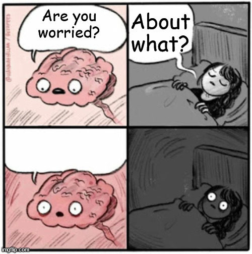 Anxiety in a nutshell | About what? Are you worried? | image tagged in brain before sleep,anxiety | made w/ Imgflip meme maker