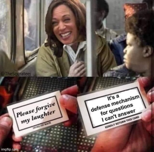 image tagged in kamala harris | made w/ Imgflip meme maker