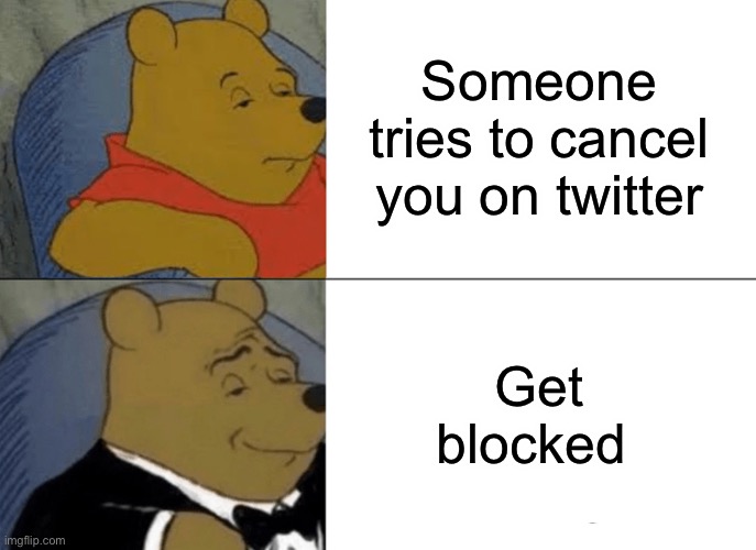Twitter moment | Someone tries to cancel you on twitter; Get blocked | image tagged in memes,tuxedo winnie the pooh | made w/ Imgflip meme maker