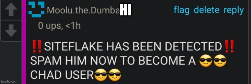 goofy ahh hyperbeam is having a stroke rn so im here instead | HI | image tagged in siteflake has been detected | made w/ Imgflip meme maker
