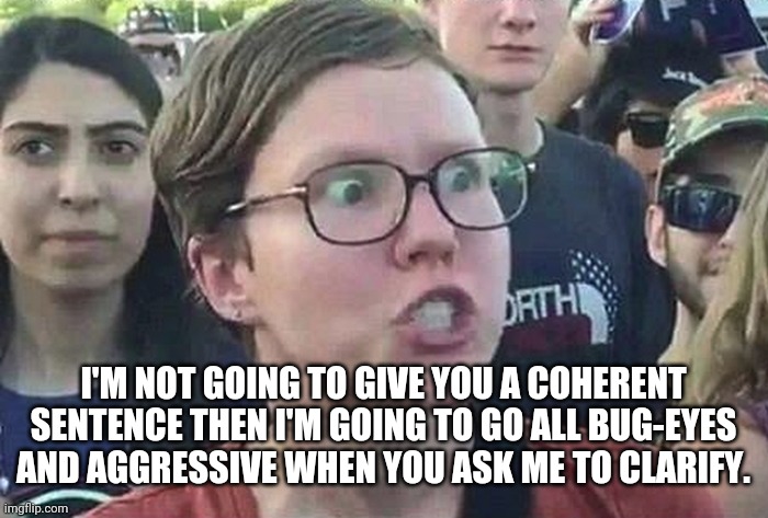 Triggered Liberal | I'M NOT GOING TO GIVE YOU A COHERENT SENTENCE THEN I'M GOING TO GO ALL BUG-EYES AND AGGRESSIVE WHEN YOU ASK ME TO CLARIFY. | image tagged in triggered liberal | made w/ Imgflip meme maker