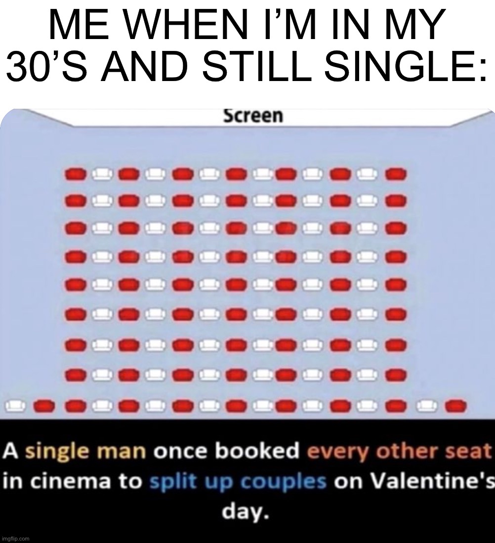 I’m gonna do this someday |  ME WHEN I’M IN MY 30’S AND STILL SINGLE: | image tagged in memes,funny,oof,valentine's day,alone,sad | made w/ Imgflip meme maker
