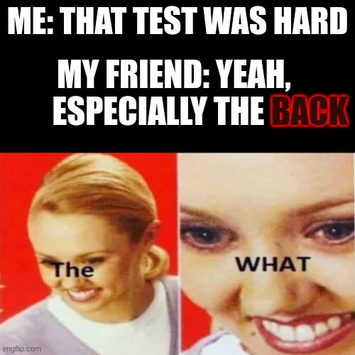 The test | ME: THAT TEST WAS HARD; MY FRIEND: YEAH, ESPECIALLY THE; BACK | image tagged in the what | made w/ Imgflip meme maker