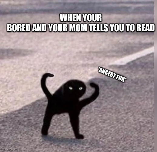 Cursed Cat | WHEN YOUR BORED AND YOUR MOM TELLS YOU TO READ; *ANGERY FUK* | image tagged in cursed cat | made w/ Imgflip meme maker
