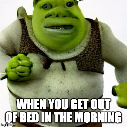 Shrek In The Morning |  WHEN YOU GET OUT OF BED IN THE MORNING | image tagged in shrek,morning,memes,ugly | made w/ Imgflip meme maker