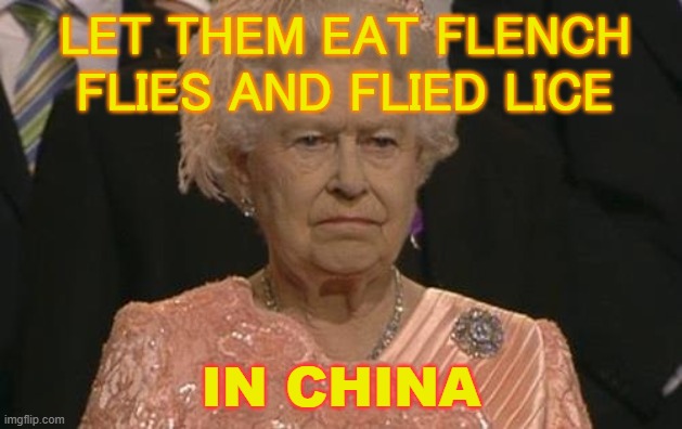 Let them eat Flench Flies and Flied Lice in China | LET THEM EAT FLENCH FLIES AND FLIED LICE; IN CHINA | image tagged in queen elizabeth london olympics not amused | made w/ Imgflip meme maker