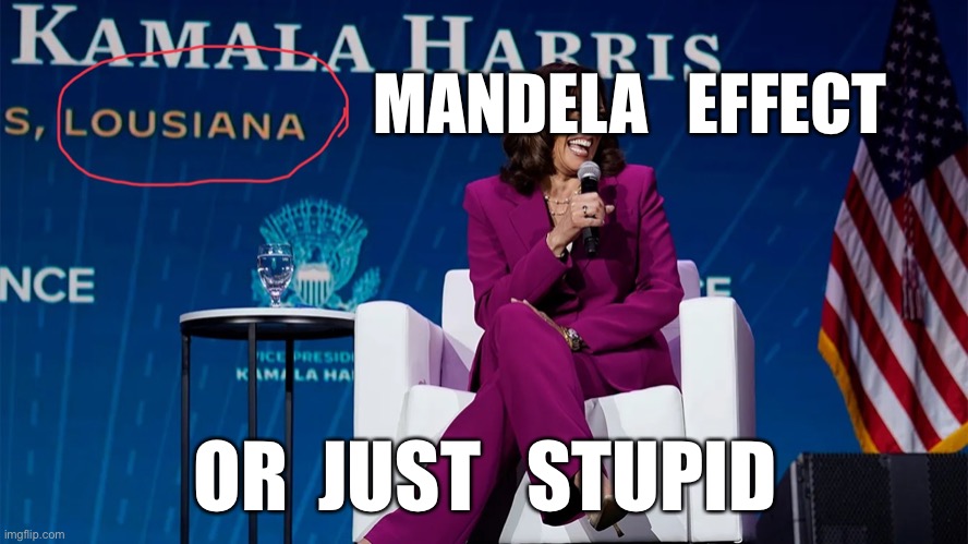 Spell check | MANDELA   EFFECT; OR  JUST   STUPID | image tagged in kamala harris | made w/ Imgflip meme maker