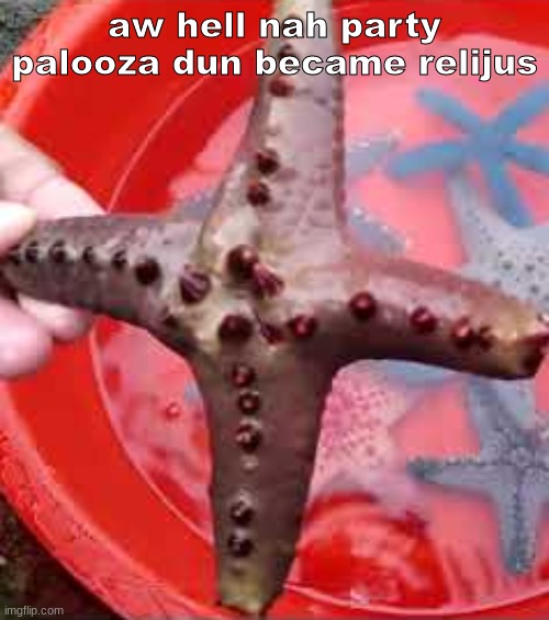 aw hell nah party palooza dun became relijus | made w/ Imgflip meme maker
