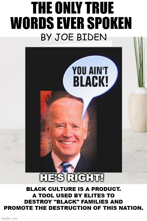 THE ONLY TRUE WORDS EVER SPOKEN; BY JOE BIDEN; HE'S RIGHT! BLACK CULTURE IS A PRODUCT. A TOOL USED BY ELITES TO DESTROY "BLACK" FAMILIES AND PROMOTE THE DESTRUCTION OF THIS NATION. | made w/ Imgflip meme maker