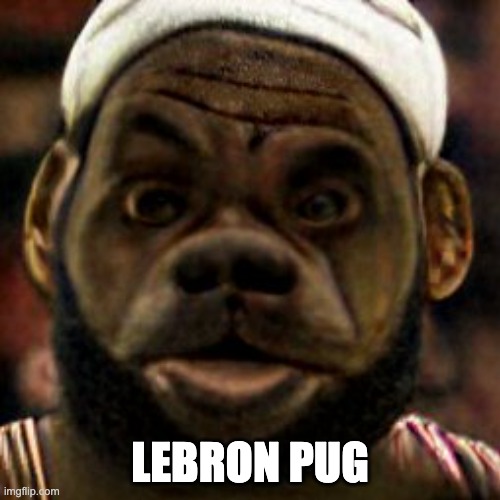 Lebron Pug |  LEBRON PUG | image tagged in lebron james,pugs,memes,lebron | made w/ Imgflip meme maker