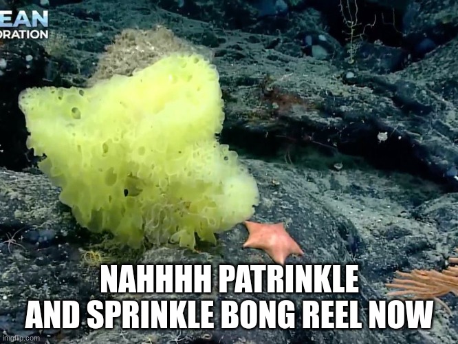 NAHHHH PATRINKLE AND SPRINKLE BONG REEL NOW | made w/ Imgflip meme maker