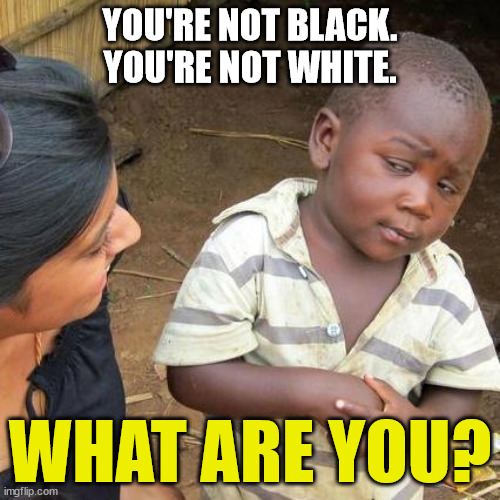 It Don't Matter If You're Black or White | YOU'RE NOT BLACK. YOU'RE NOT WHITE. WHAT ARE YOU? | image tagged in memes,third world skeptical kid | made w/ Imgflip meme maker