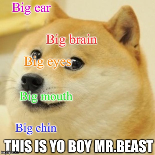 Doge Meme | Big ear; Big brain; Big eyes; Big mouth; Big chin; THIS IS YO BOY MR.BEAST | image tagged in memes,doge | made w/ Imgflip meme maker