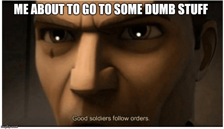 Good soldiers follow orders | ME ABOUT TO GO TO SOME DUMB STUFF | image tagged in good soldiers follow orders | made w/ Imgflip meme maker
