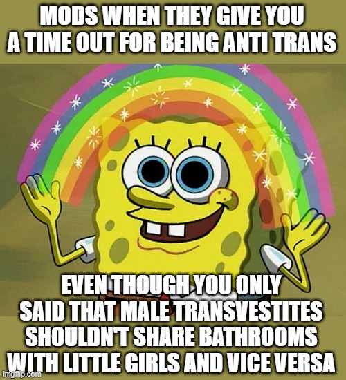 Imagination Spongebob Meme | MODS WHEN THEY GIVE YOU A TIME OUT FOR BEING ANTI TRANS; EVEN THOUGH YOU ONLY SAID THAT MALE TRANSVESTITES SHOULDN'T SHARE BATHROOMS WITH LITTLE GIRLS AND VICE VERSA | image tagged in memes,imagination spongebob | made w/ Imgflip meme maker