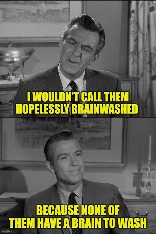 My personal opinion of democrats | I WOULDN'T CALL THEM HOPELESSLY BRAINWASHED; BECAUSE NONE OF THEM HAVE A BRAIN TO WASH | image tagged in democrats,brainwashed,commies | made w/ Imgflip meme maker