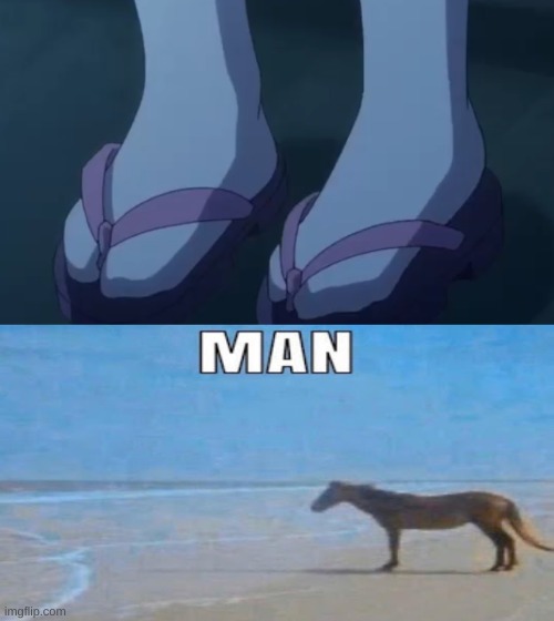 SANDALS WITH SOCKS | image tagged in depressed horse | made w/ Imgflip meme maker