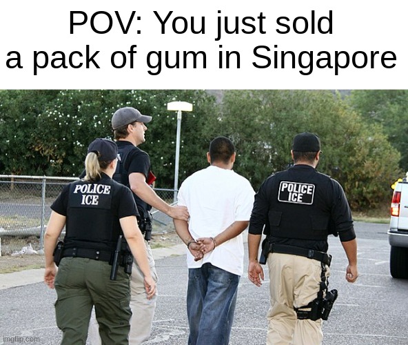 The Greatest Crime of Them All | POV: You just sold a pack of gum in Singapore | image tagged in oh wow are you actually reading these tags | made w/ Imgflip meme maker
