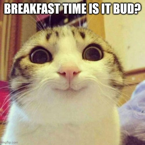 Smiling Cat Meme | BREAKFAST TIME IS IT BUD? | image tagged in memes,smiling cat | made w/ Imgflip meme maker