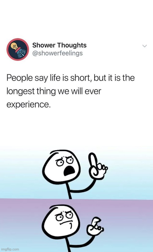 True | image tagged in speechless stickman,memes,funny,shower thoughts,blank white template | made w/ Imgflip meme maker