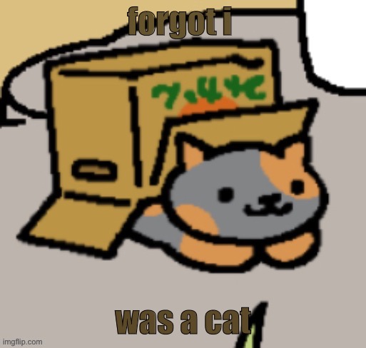 Ram3n In A Box | forgot i; was a cat | image tagged in ram3n in a box | made w/ Imgflip meme maker