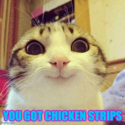 Smiling Cat | YOU GOT CHICKEN STRIPS | image tagged in memes,smiling cat | made w/ Imgflip meme maker