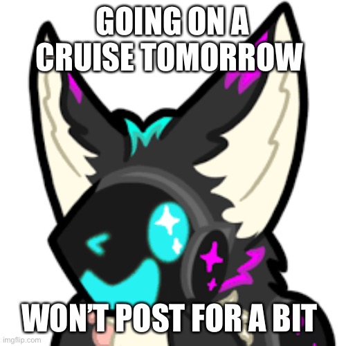 Goodbye chat ? | GOING ON A CRUISE TOMORROW; WON’T POST FOR A BIT | image tagged in furry,cruise,cruise ship,why is the fbi here,stop reading the tags | made w/ Imgflip meme maker