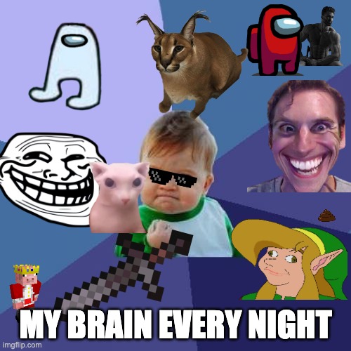 Success Kid Meme | MY BRAIN EVERY NIGHT | image tagged in memes,success kid | made w/ Imgflip meme maker