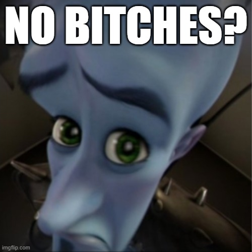 Megamind peeking | NO BITCHES? | image tagged in megamind peeking | made w/ Imgflip meme maker