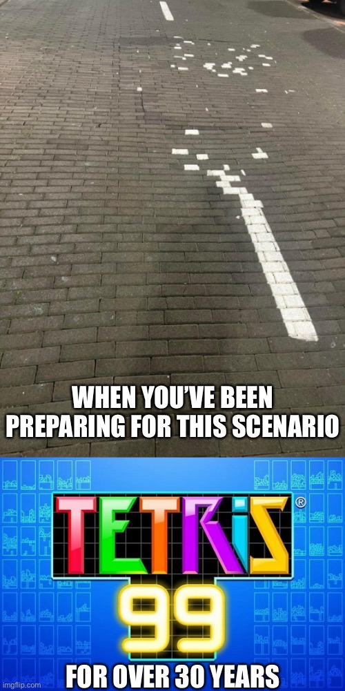 Road lines | WHEN YOU’VE BEEN PREPARING FOR THIS SCENARIO; FOR OVER 30 YEARS | image tagged in tetris 99,prepare yourself,training,20 years | made w/ Imgflip meme maker
