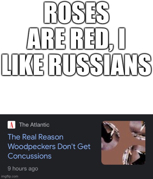 ROSES ARE RED, I LIKE RUSSIANS | image tagged in blank white template | made w/ Imgflip meme maker