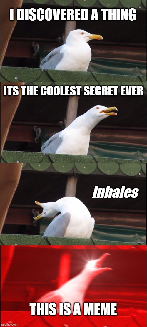 Inhaling Seagull Meme | I DISCOVERED A THING; ITS THE COOLEST SECRET EVER; Inhales; THIS IS A MEME | image tagged in memes,inhaling seagull | made w/ Imgflip meme maker