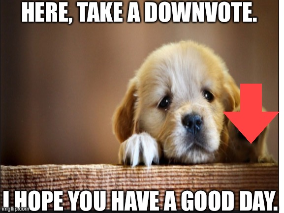 Anti-upvote dog | HERE, TAKE A DOWNVOTE. I HOPE YOU HAVE A GOOD DAY. | image tagged in have a nice day | made w/ Imgflip meme maker