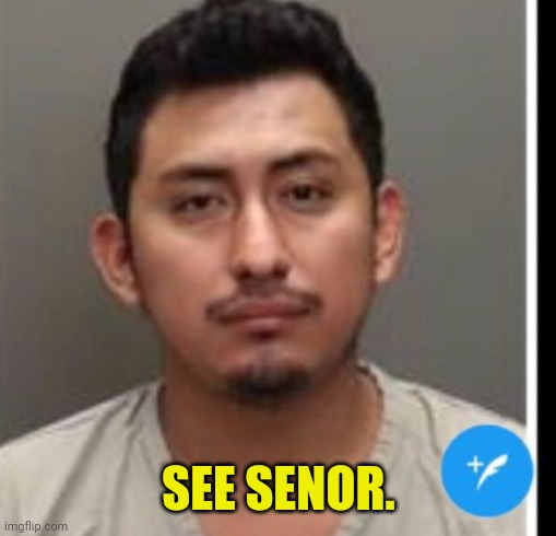 SEE SENOR. | made w/ Imgflip meme maker