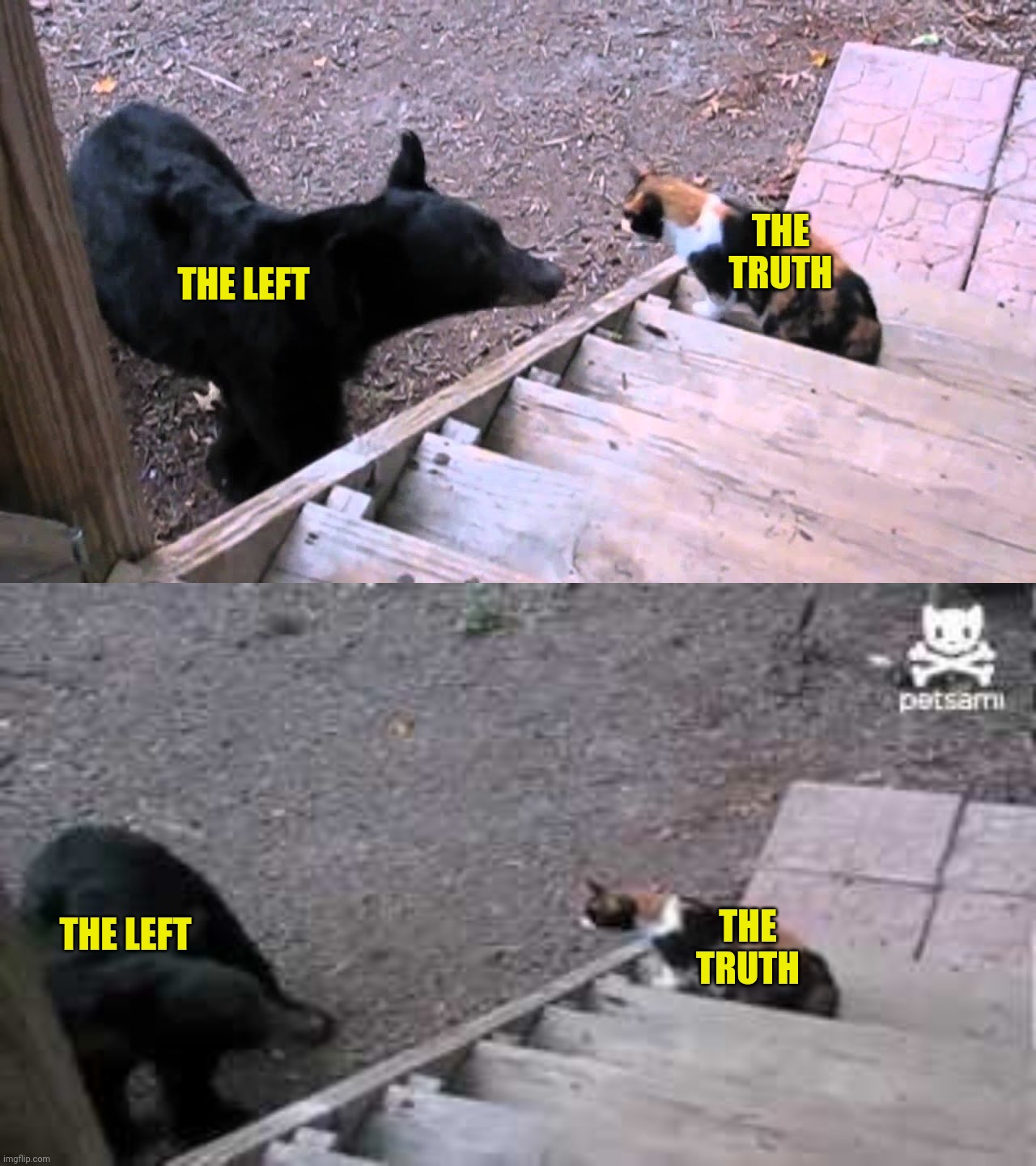 Bear vs Cat. Lies vs Truth | THE LEFT; THE TRUTH; THE TRUTH; THE LEFT | image tagged in democrats,media lies,leftists | made w/ Imgflip meme maker