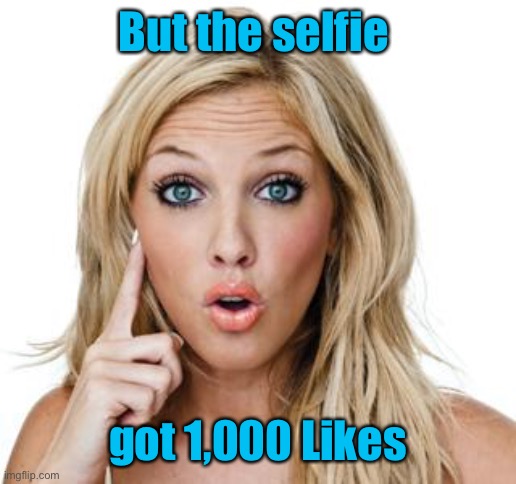 Dumb blonde | But the selfie got 1,000 Likes | image tagged in dumb blonde | made w/ Imgflip meme maker