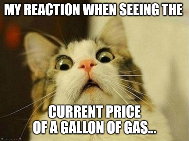 Scared Cat Meme | MY REACTION WHEN SEEING THE; CURRENT PRICE OF A GALLON OF GAS... | image tagged in memes,scared cat | made w/ Imgflip meme maker