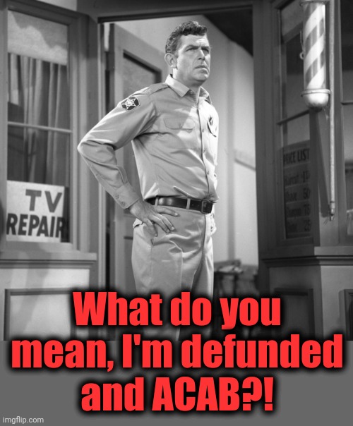 What do you mean, I'm defunded
and ACAB?! | made w/ Imgflip meme maker